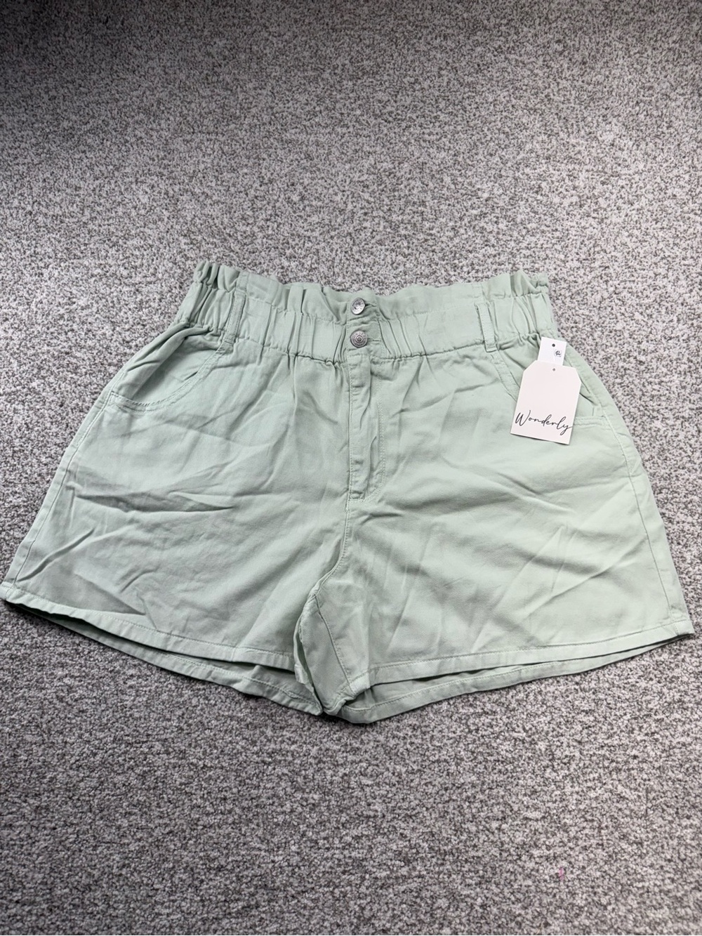 NWT Women's Wonderly Paper Bag Waist High-Rise Elastic Light Green Shorts Sz 10R
